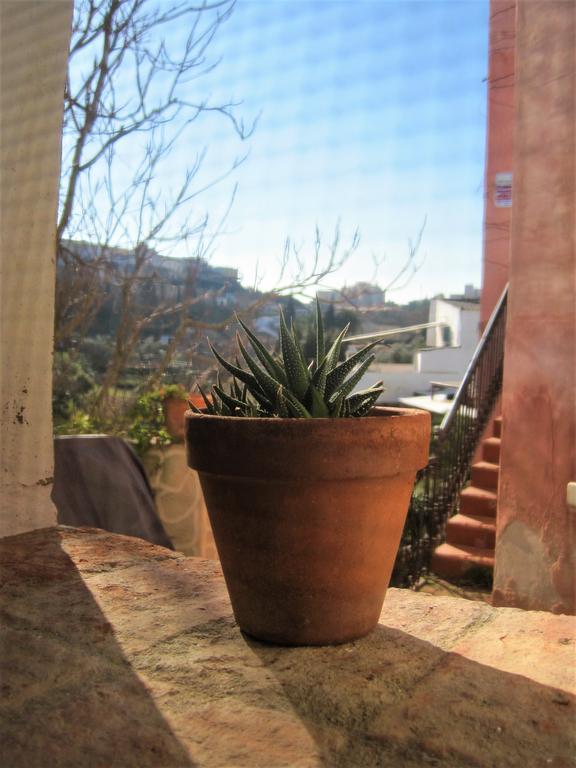 La Casina De Piedra Encanto - Parte Antigua De Caceres Ngoại thất bức ảnh